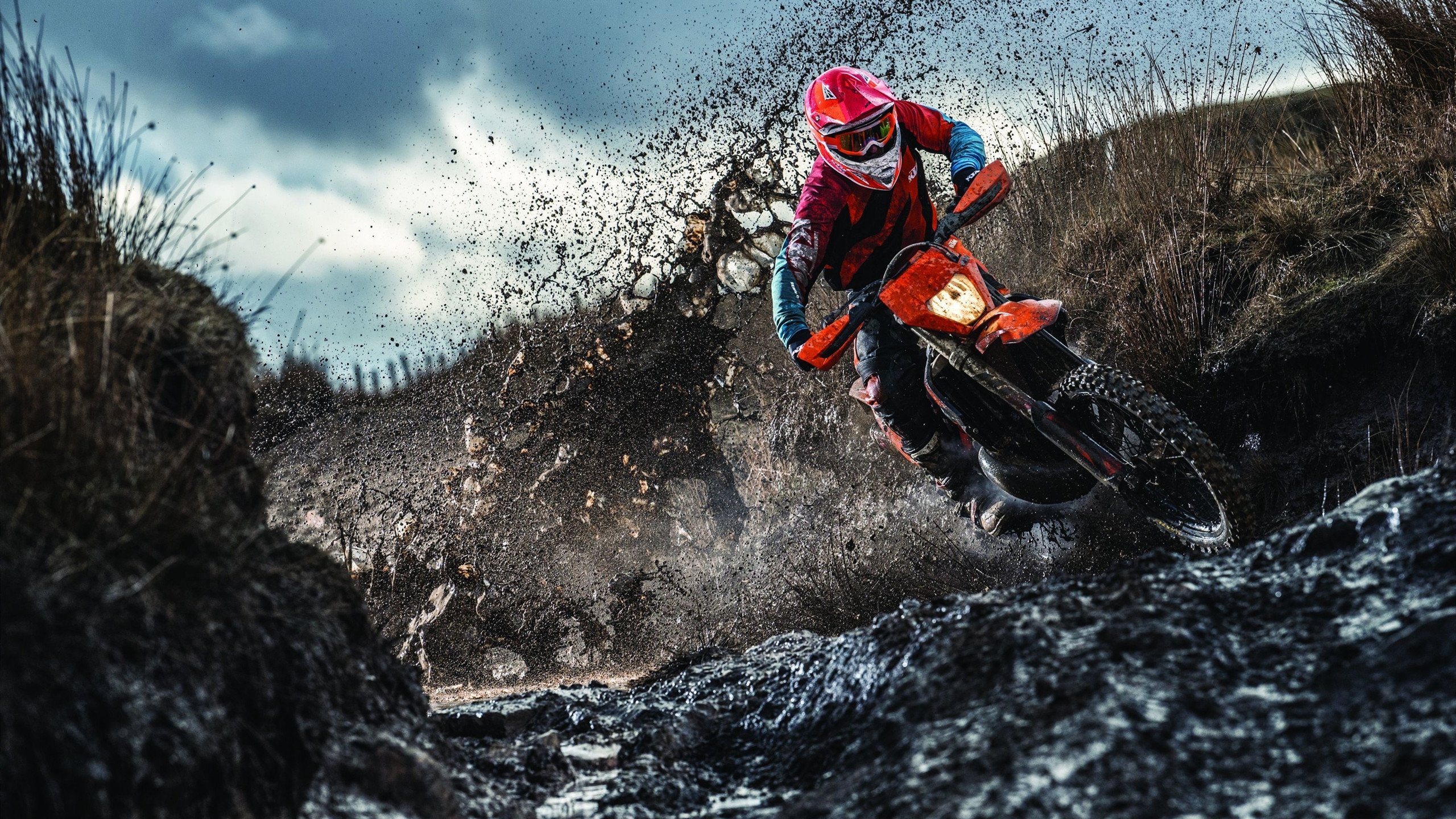 跨界主宰，从热火速胜到德甲争冠，詹姆斯的统治力无远弗届