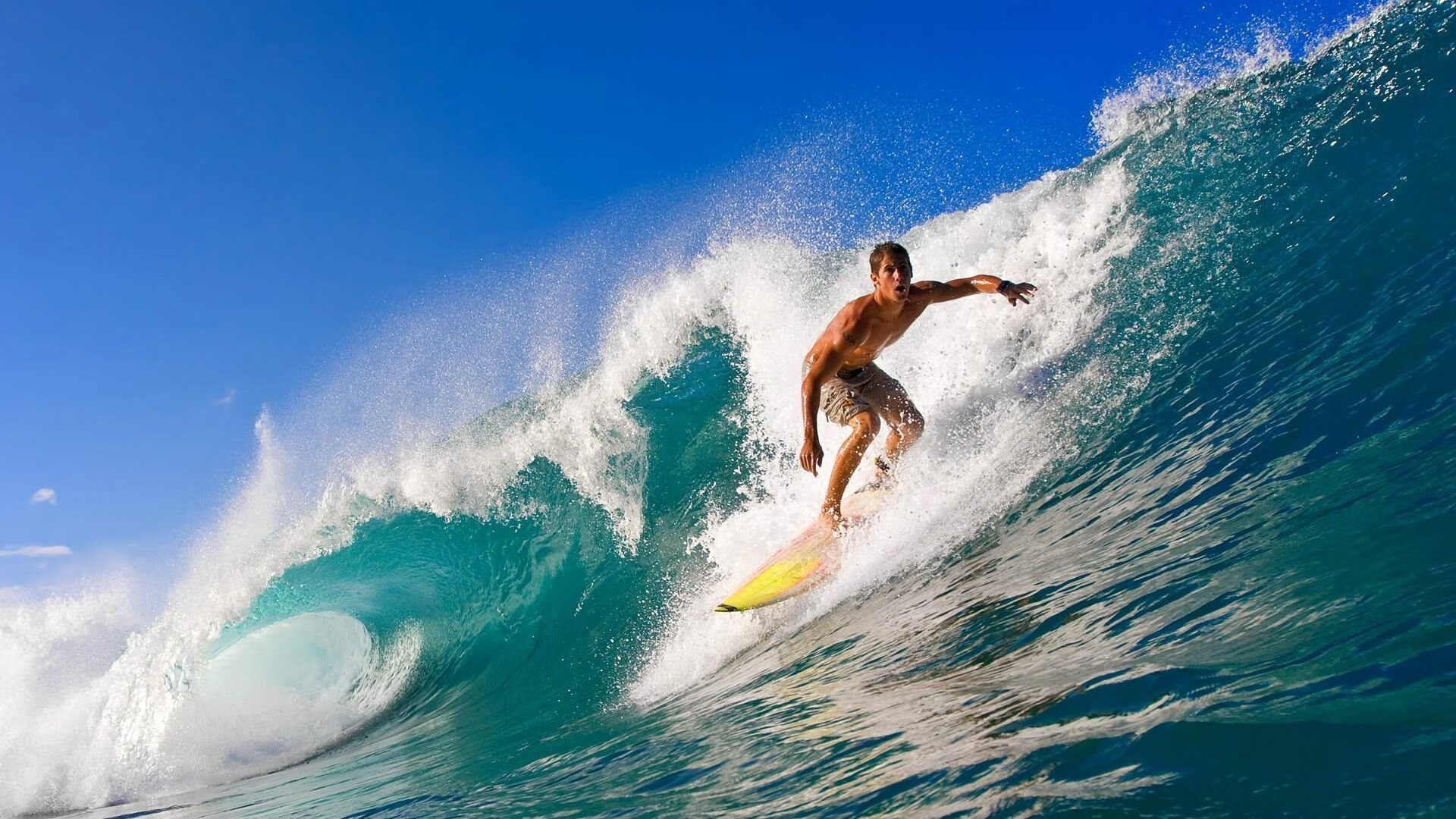 当岭南雄狮遭遇丹佛高原，约基奇连续得分风暴撕裂广东防线